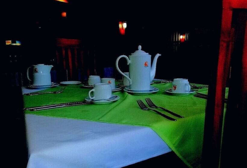 膳宿费 Lion Nature