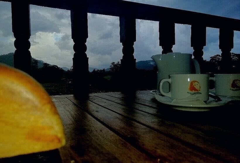 膳宿费 Lion Nature