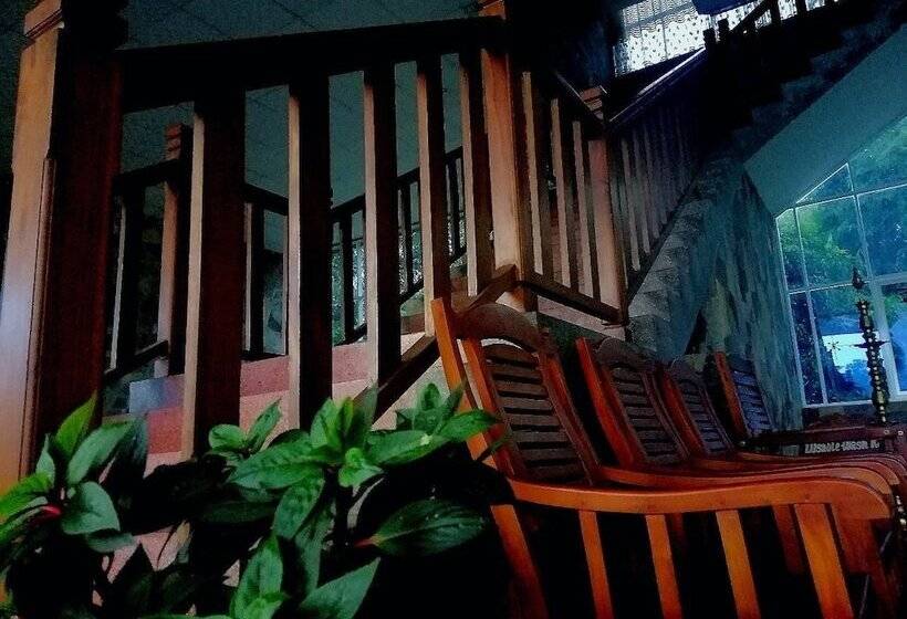 膳宿费 Lion Nature