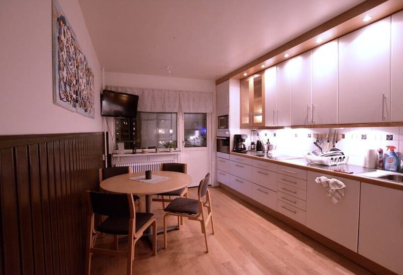 پانسیون Nordic Borealis House