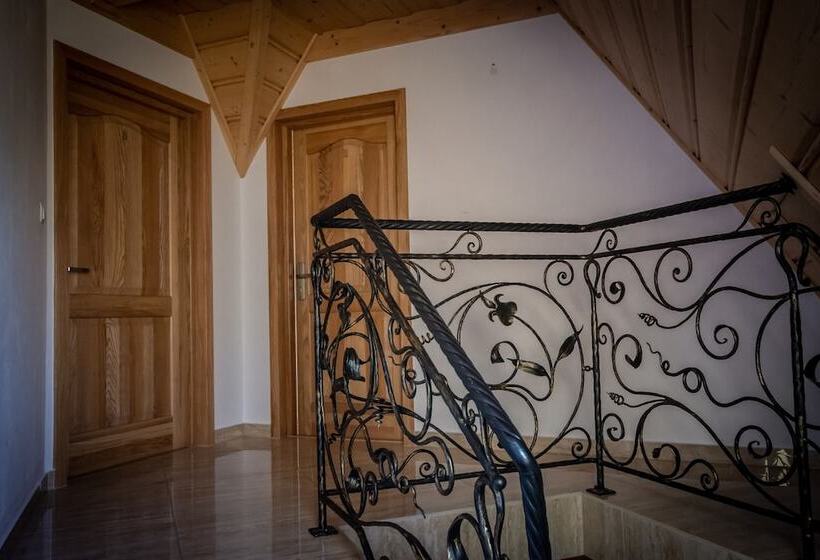 ペンション Podhalanski Dworek Z Jacuzzi