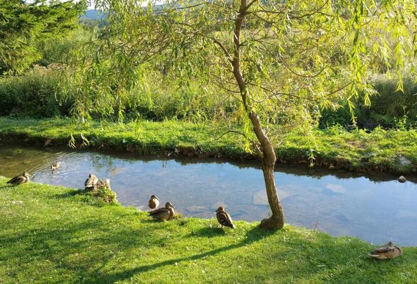 ペンション Rustic Inn River