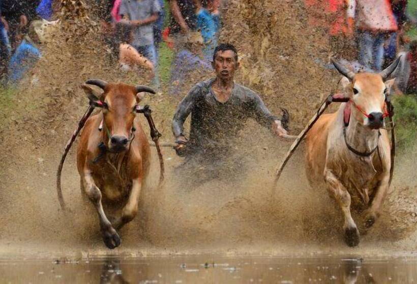 פנסיון Sijo Art And Guesthouse