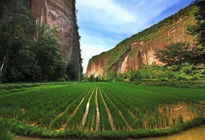 פנסיון Sijo Art And Guesthouse