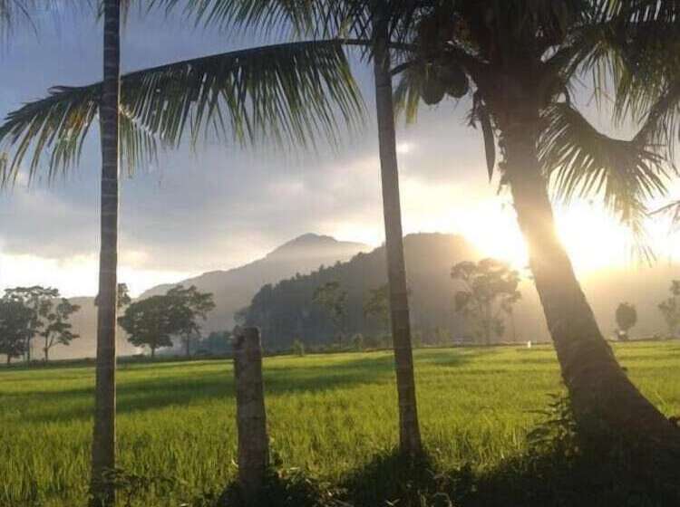 פנסיון Sijo Art And Guesthouse