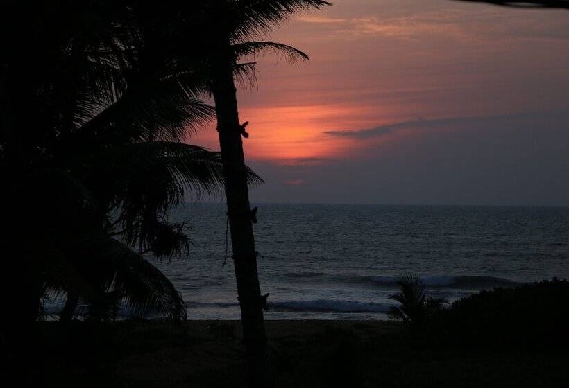 بنسيون Whispering Ocean