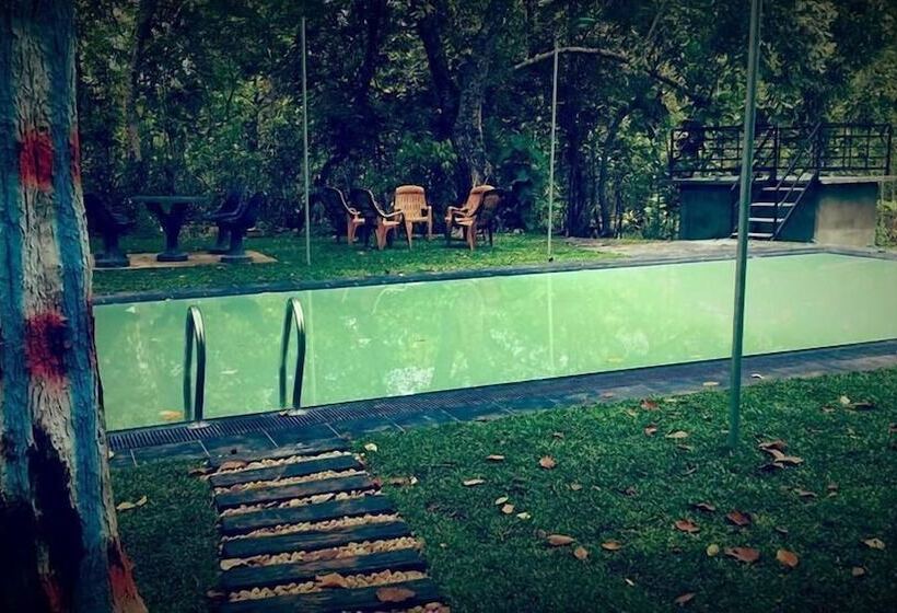 펜션 Yuhibuhi Forest Resort