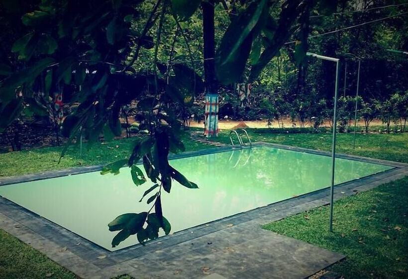 펜션 Yuhibuhi Forest Resort