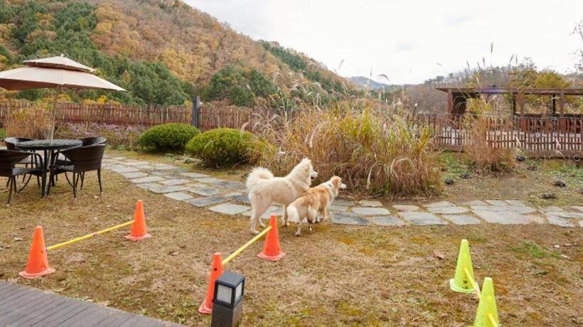 Курорт Healience Seonmaeul