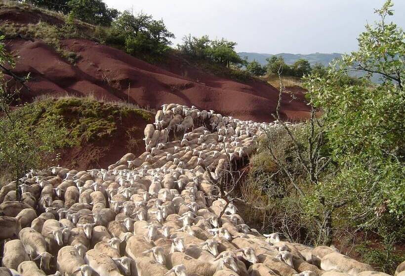 אתר נופש Le Hameau Des Genets