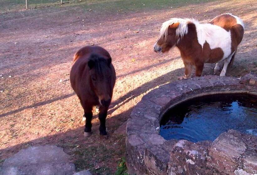 אתר נופש Le Hameau Des Genets