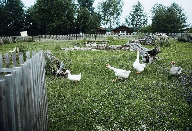 리조트 Turisticheskaya Derevenka Ecotel