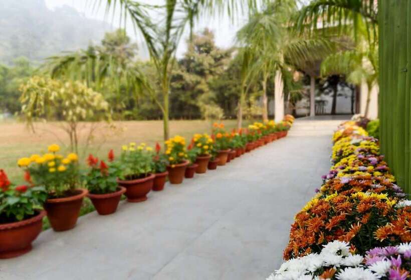 The Greenwood Resort, Guwahati