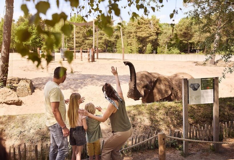 Lake Resort Beekse Bergen