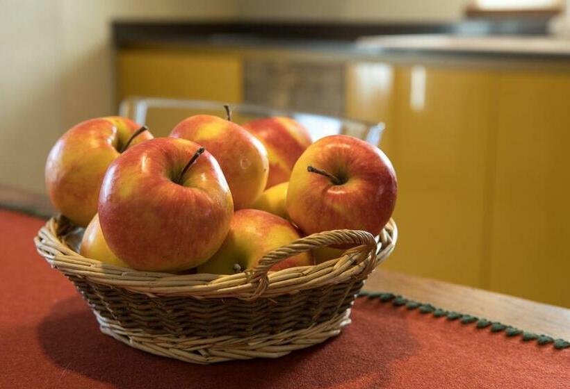 בית מלון כפרי Maison Lo Triolet