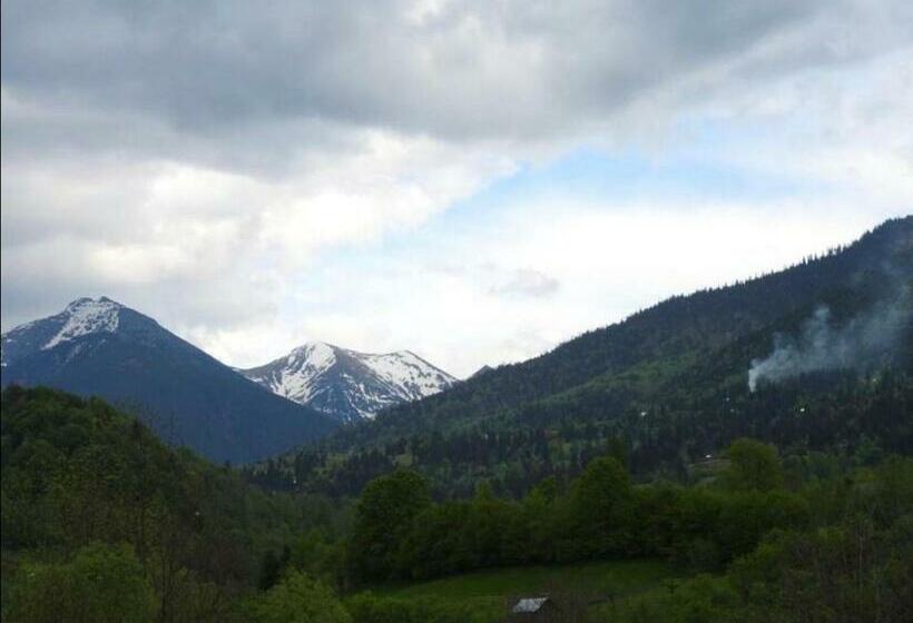 호텔 Pensiunea Trei Lalele