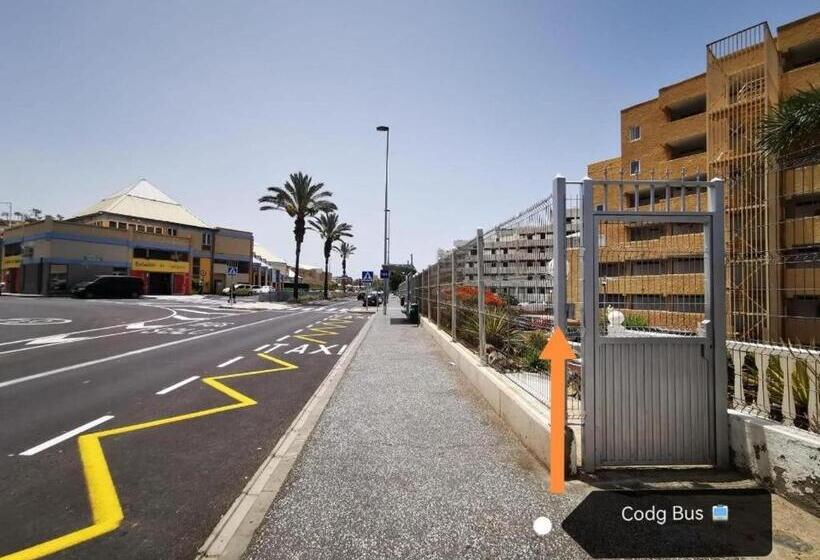 Apartamentos Borinquen