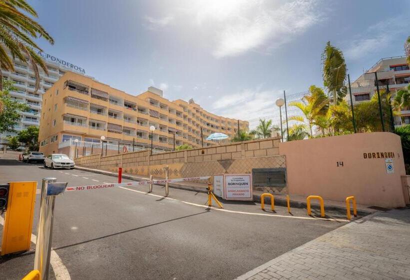 Apartamentos Borinquen