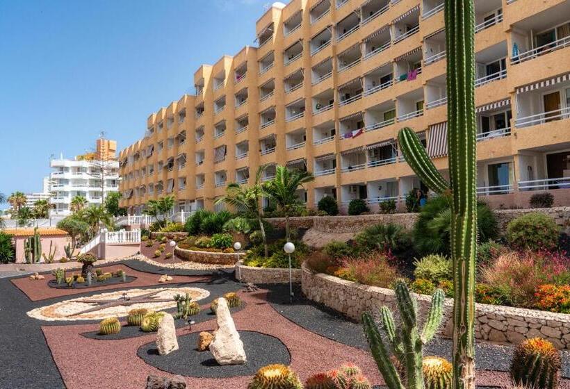 Apartamentos Borinquen