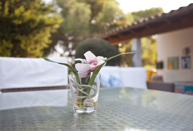 Bj Apartamentos Europa