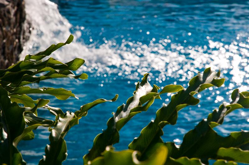 Apartamentos Piramides