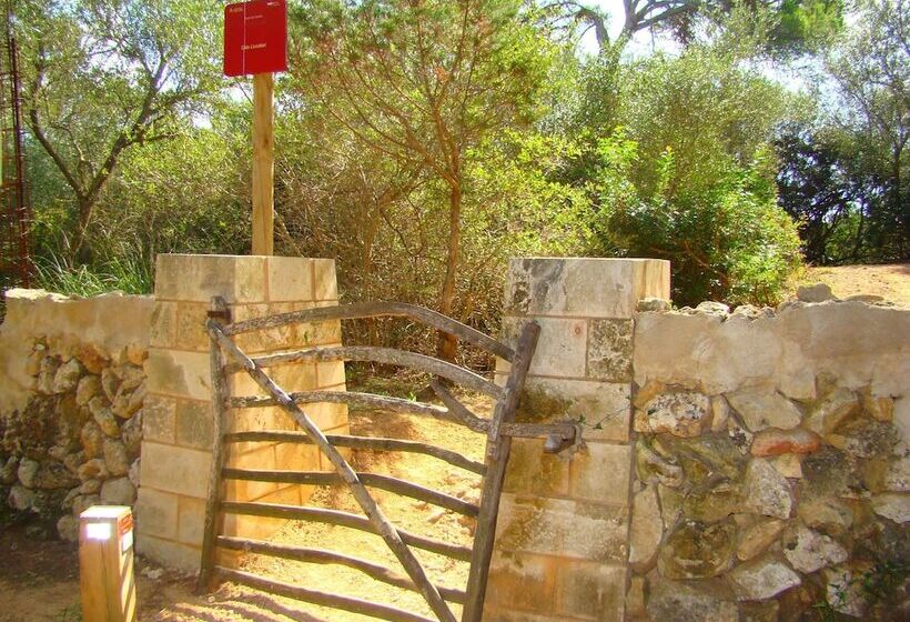 Apartamentos Son Bou Gardens By Menorcarentals