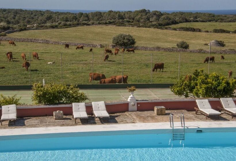 乡村酒店  Agroturismo Son Triay