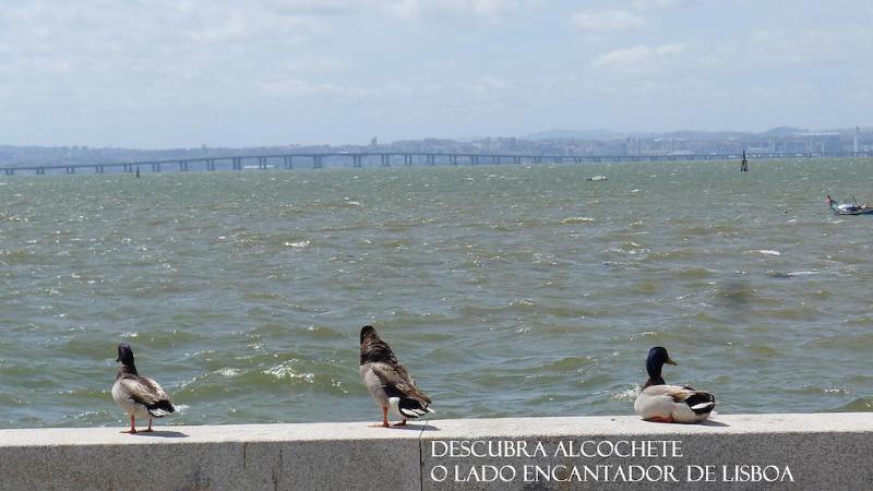 בית מלון כפרי Upon Vila   Alcochete