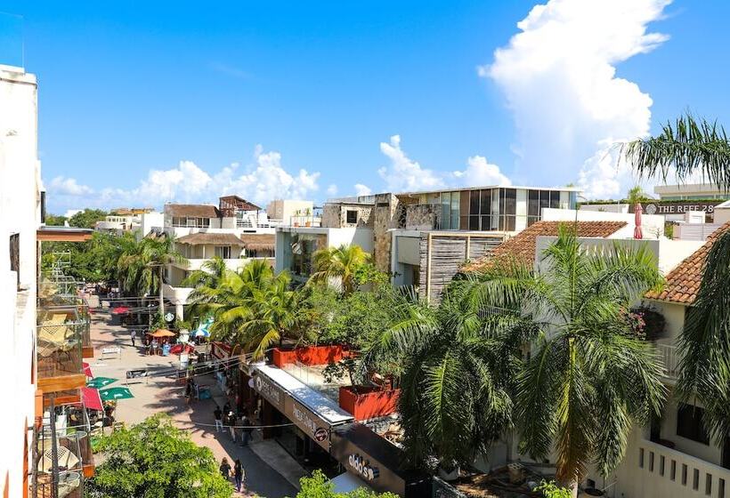 Alma y Mar Hotel & Suites