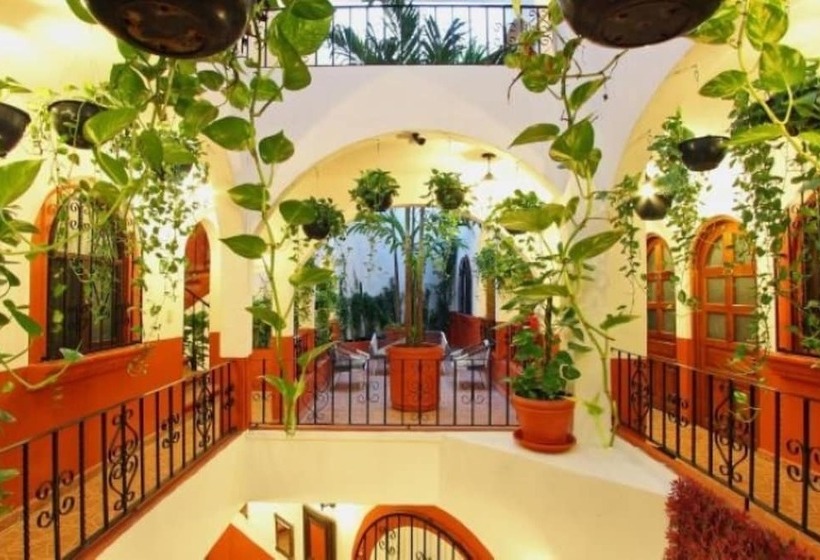 Alma y Mar Hotel & Suites