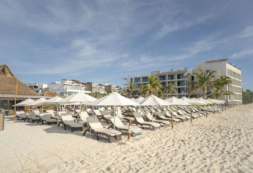 Alma y Mar Hotel & Suites