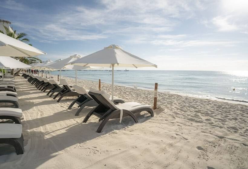 Alma y Mar Hotel & Suites