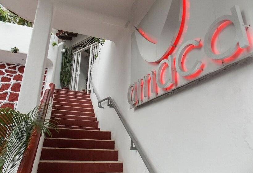酒店 Amaca Puerto Vallarta  Adults Only