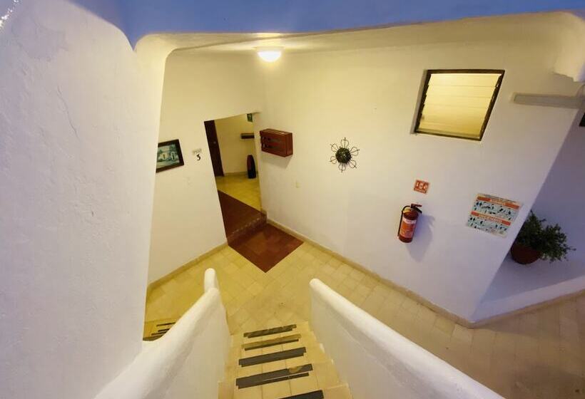 酒店 Amaca Puerto Vallarta  Adults Only