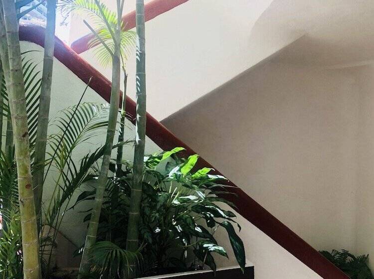 酒店 Amaca Puerto Vallarta  Adults Only