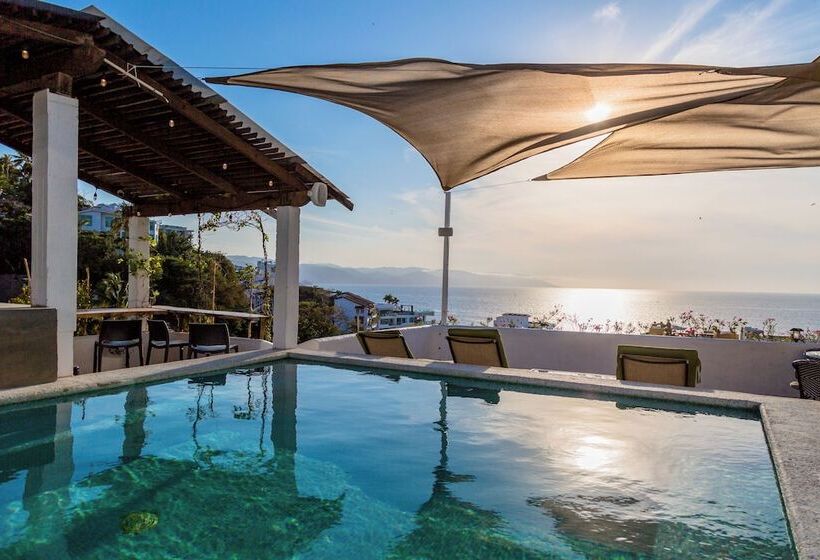 酒店 Amaca Puerto Vallarta  Adults Only