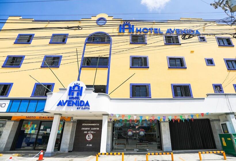 בית מלון כפרי Avenida Cancun