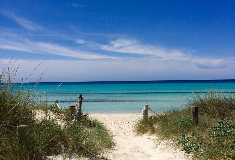 酒店 blau colònia sant jordi