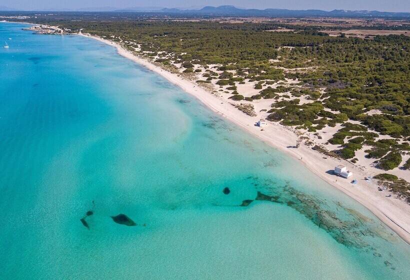 酒店 blau colònia sant jordi