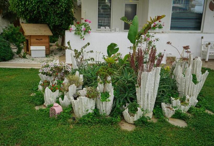 호텔 Bora Bora Butik