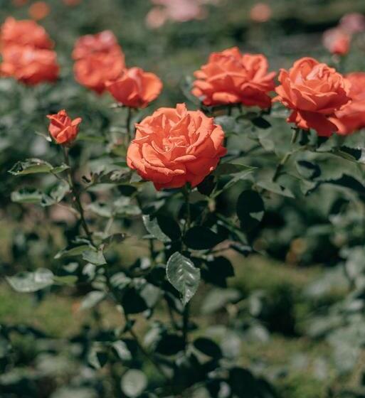 호텔 Casa Dos Pombais