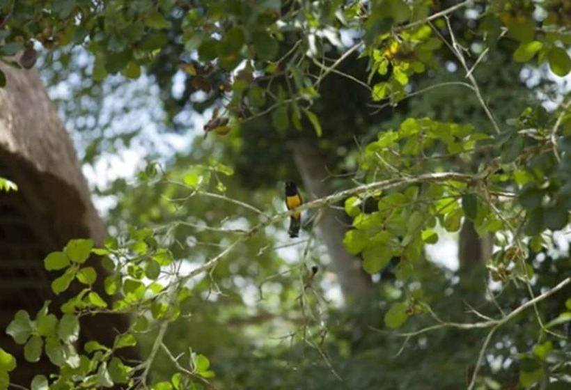 هتل Villas Chicanna