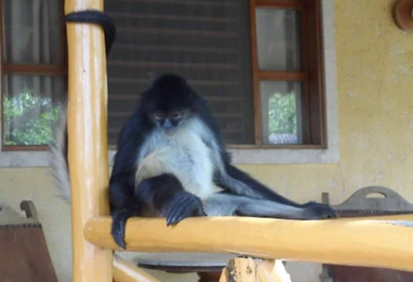 هتل Villas Chicanna