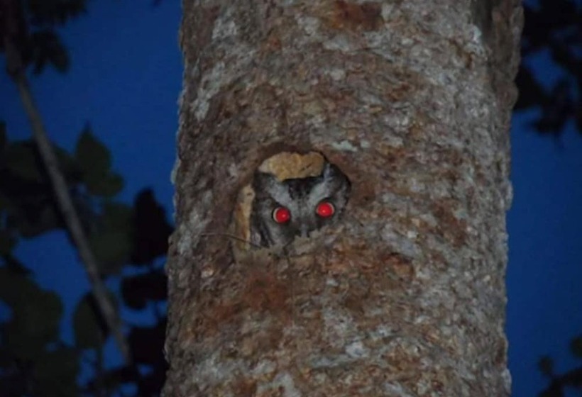 هتل Villas Chicanna