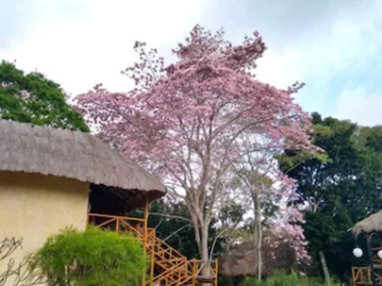 هتل Villas Chicanna