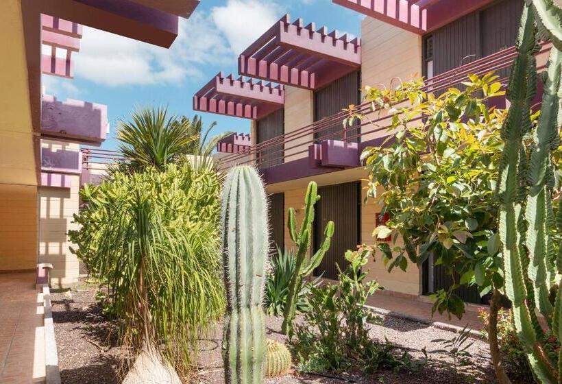 فندق Palia Don Pedro