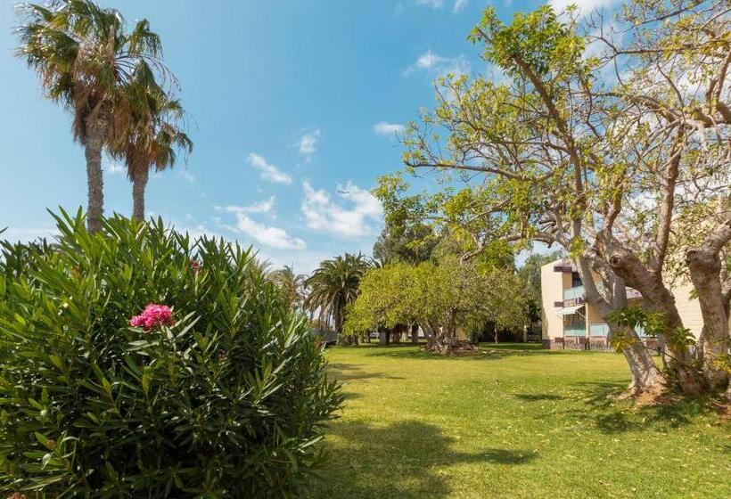 فندق Palia Don Pedro