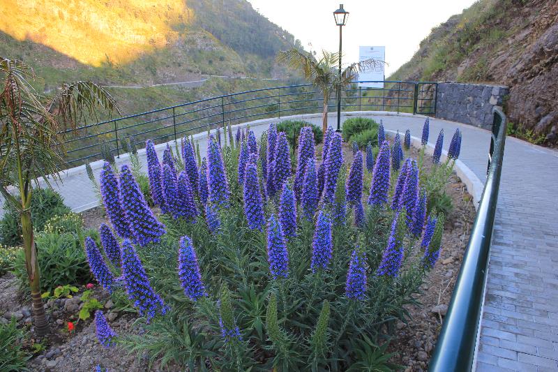 Eira Do Serrado   Hotel & Spa