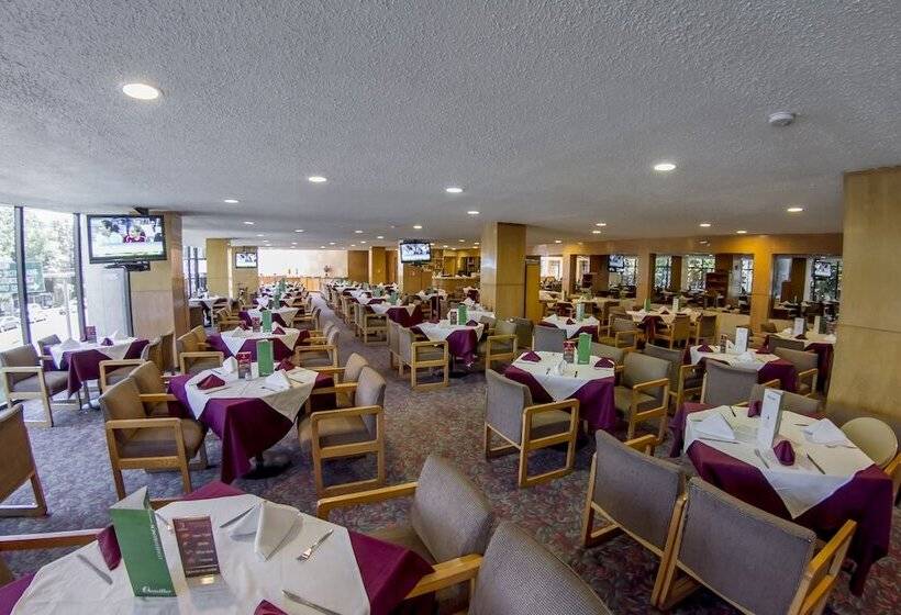 ホテル El Diplomatico