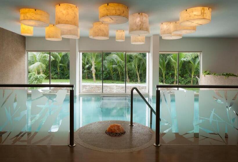 فندق El Dorado Seaside Suites Catamarán, Cenote & More Inclusive